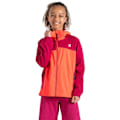 Miniatyrbillede 1 af 8: Dare2b Jakke Cheer Softshell  7-8 Years Dreng