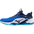 Miniatyrbillede 1 af 2: Mizuno Wave Stealth Neo 2 Håndboldsko Blå EU 44 Mand