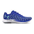 Miniatyrbillede 1 af 5: Under Armour Løbe Skoe Charged Breeze 2 Blå EU 45 1/2 Mand