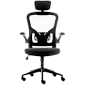 Miniatyrbillede 2 af 2: Urban Factory Ergonomisk Skrivebordsstol Esc05uf Sort