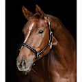 Pikkukuva 2 / 2: Waldhausen Riimu S-line Classy  Cob