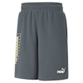 Miniatyrbillede 1 af 2: Puma Shorts Power Summer Graphics Grå L Mand