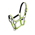 Pikkukuva 1 / 5: Equestro White Trim Riimu Ja Talutin  Pony