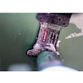 Miniatyrbillede 4 af 10: Bosch Professional Segmenteret Savklinge Expert Coated Carbide Plunge Cut Metal Aiz45ait Blå