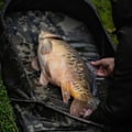 Miniatyrbillede 4 af 4: Nash Afkrogningsmåtte Carp Care Pop Up