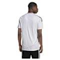 Pikkukuva 2 / 10: Adidas Real Madrid 24/25 Lyhythihainen Kotipaita  XL