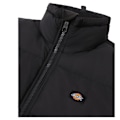 Miniatyrbillede 3 af 8: Dickies Jakke Alatna Sort XL Kvinde