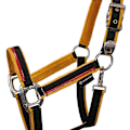 Pikkukuva 2 / 6: Equestro Red Trim Riimu Ja Talutin  Coby