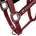 Pikkukuva 7 / 7: Equestro Riimu Ja Lyijy Shiny Fittings  Cob