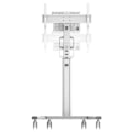 Miniatyrbillede 4 af 10: Neomounts Tv Stativ Med Hjul Select Mobile Displaycbnt 75´´ Søvfarvet