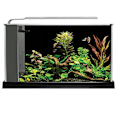 Miniatyrbillede 2 af 3: Fluval Spec 19l Akvarium