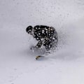 Miniatyrbillede 2 af 2: Never Summer Proto Fr Snowboard Sort 156
