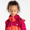 Miniatyrbillede 7 af 8: Dare2b Jakke Cheer Softshell  7-8 Years Dreng