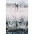 Miniatyrbillede 9 af 9: Powerslide Polakker Nordic Skating Carbon Sort 130-170 cm
