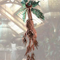 Miniatyrbillede 2 af 3: Noble Collection Mandrake Teddy Harry Potter Brun