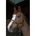 Pikkukuva 1 / 2: Norton Equestrian Nahkainen Riimu Club Ruskea Full