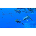 Miniatyrbillede 2 af 5: Nintendo Switch Endless Ocean Luminous