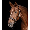 Pikkukuva 2 / 2: Waldhausen Riimu S-line Classy  Cob