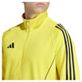 Miniatyrbillede 5 af 6: Adidas Træningsdragt Jakke Træning Tiro24 Gul XS / Regular Mand