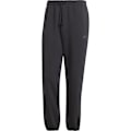 Miniatyrbillede 1 af 3: Adidas All Szn Bukser Sort XL / Regular Mand