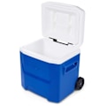 Pikkukuva 7 / 7: Igloo Coolers Pyörällinen Jäykkä Kannettava Jäähdytin Laguna 16 15l Kirkas
