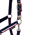 Pikkukuva 3 / 5: Equestro White Trim Riimu Ja Talutin  Pony