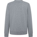 Miniatyrbillede 2 af 3: Hackett Essential Sp Sweatshirt Grå M Mand