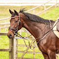 Pikkukuva 5 / 5: Harry´s Horse Rosegold Rintapanssari  Cob