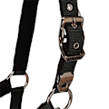 Pikkukuva 5 / 7: Equestro Shiny Fittings Riimu Ja Talutin Musta Cob