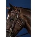 Miniatyrbillede 2 af 2: Dyon Us Collection Hackamore Kindstykker Søvfarvet Full