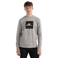 Miniatyrbillede 1 af 6: O´neill Sweatshirt Cube Grå L Mand