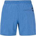 Miniatyrbillede 2 af 2: Protest Svømmeshorts Davey  XL Mand
