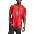 Pikkukuva 1 / 2: Adidas Fc Bayern Munich 24/25 Lyhythihainen Kotipaita Oranssi S