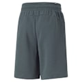 Miniatyrbillede 2 af 2: Puma Shorts Power Summer Graphics Grå L Mand