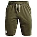 Miniatyrbillede 3 af 5: Under Armour Shorts Rival Terry Grøn S / Regular Mand