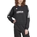 Miniatyrbillede 1 af 4: Adidas Tiro Cut 3 Stripes Fleece Sweatshirt Sort S / Regular Kvinde