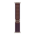 Pikkukuva 1 / 4: Apple Hihna Alpine Loop 49 Mm Ruskea M