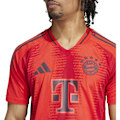 Pikkukuva 7 / 8: Adidas Fc Bayern Authentic 24/25 Lyhythihainen Kotipaita  M