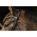 Pikkukuva 2 / 3: Norton Equestrian Riimu Basal  Cob