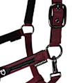 Pikkukuva 5 / 7: Equestro Elegance Riimu Ja Talutin  Coby