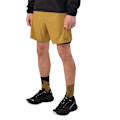 Miniatyrbillede 1 af 2: Dynafit Alpine Pro 2-i-1 Shorts Gul L Mand
