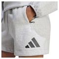 Pikkukuva 3 / 4: Adidas Z.n.e Shortsit Harmaa M / Regular Nainen