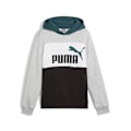 Miniatyrbild 1 av 2: Puma Ess Block Huvtröja Grå 7-8 Years Pojke