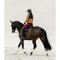 Miniatyrbillede 8 af 8: Horse Pilot Raintech Jakke  M