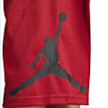 Miniatyrbillede 3 af 3: Jordan Jumpman Wrap Mesh Junior-shorts  12 Years Mand
