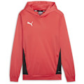 Miniatyrbillede 1 af 2: Puma Hættetrøje Individual Trg  L Mand