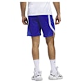 Miniatyrbillede 2 af 6: Adidas Shorts Paris 23/24 Icon Squad Blå M / Regular Mand