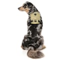 Pikkukuva 4 / 5: Fuzzyard Active Valjaat Go Beige M