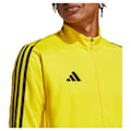 Pikkukuva 6 / 7: Adidas Takki Tiro23l Keltainen L / Regular Mies