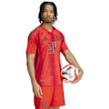 Pikkukuva 6 / 8: Adidas Fc Bayern Authentic 24/25 Lyhythihainen Kotipaita  M